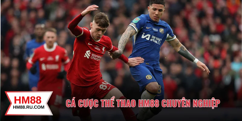 Cá cược thể thao HM88 chuyên nghiệp